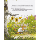 КІТ-ЛІКАР. Заблукала вівця. Книга 2