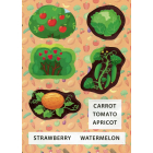 Фрукти та овочі. Fruit and Vegetables. Перші слова