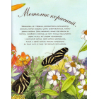 Метелик неквапливий