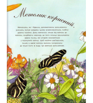 Метелик неквапливий