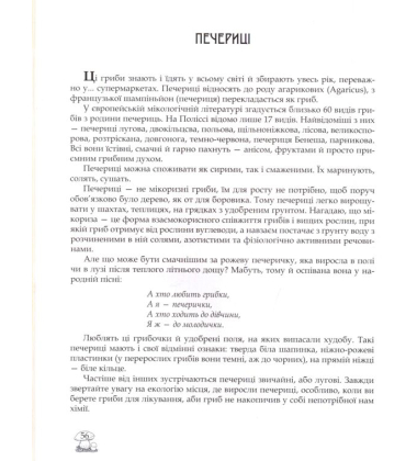 У пошуках грибного царства