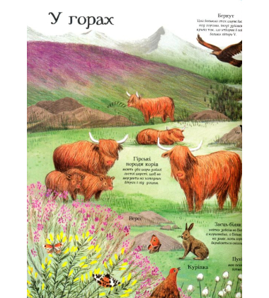 Велика ілюстрована книга про природу