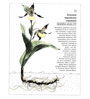 Червона книжечка