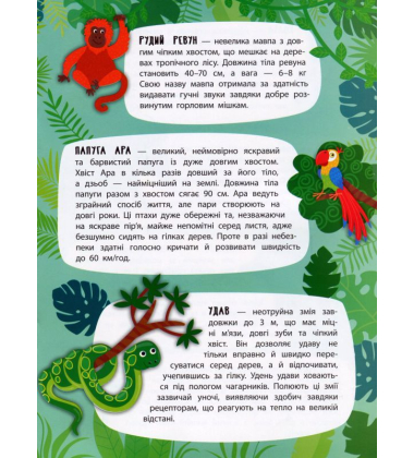 Дивовижні джунглі. Панорамка-енциклопедія