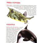 Мешканці морів та океанів. Велика книжка