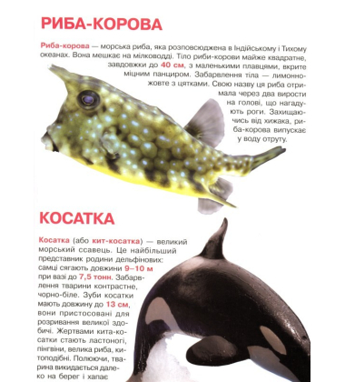 Мешканці морів та океанів. Велика книжка