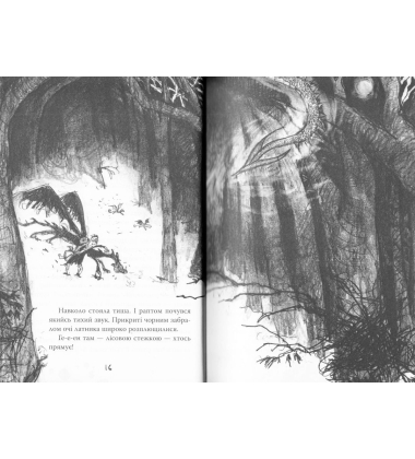 Як приручити дракона. Як знайти Камінь Дракона. Книга 10