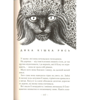 Сторожова застава