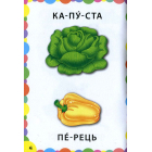 Сад. Город. Знання в кишеньку
