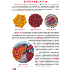 Велика книжка. Віруси