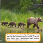 Мами і малюки. Мої перші книжки