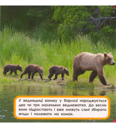 Мами і малюки. Мої перші книжки
