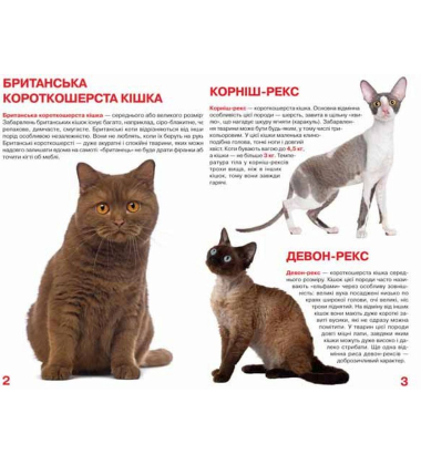 Велика книжка. Кішки