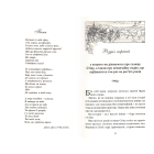 Зоряний пил