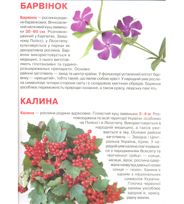 Велика книжка. Рослинний світ України