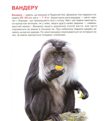 Мавпи. Велика книжка