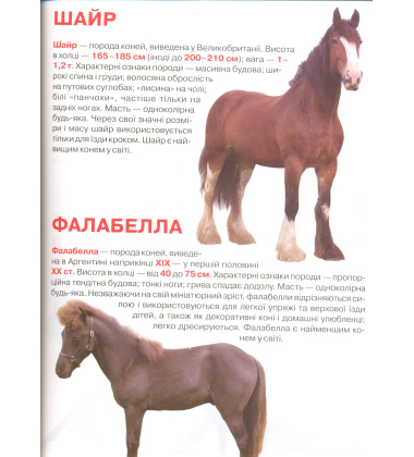 Коні і поні. Велика книжка