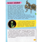 Мініенциклопедія. Комахи та павуки
