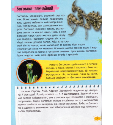 Мініенциклопедія. Комахи та павуки