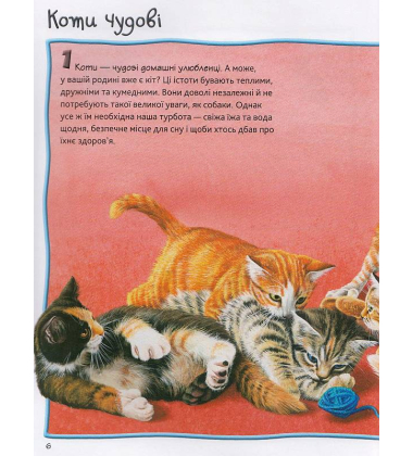 100 фактів про котів і кошенят