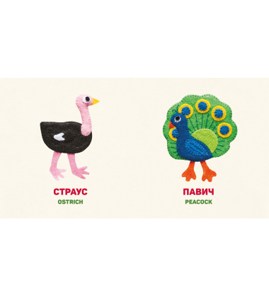 Птахи. Birds