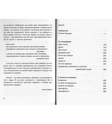 Голландський кут