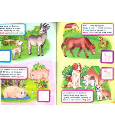 Тварини. Animals
