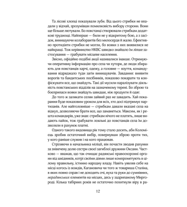 Багряний рейд