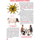 Велика книжка. Віруси