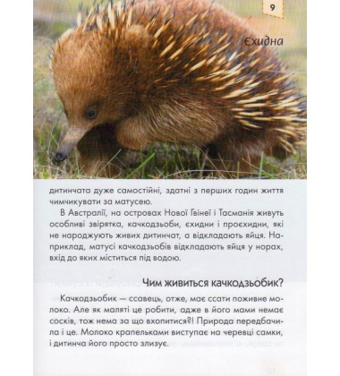 Мами та малюки