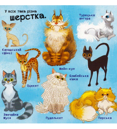 Про котів. Від вушок до хвостів