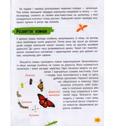 Мініенциклопедія. Комахи та павуки