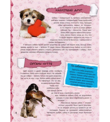 Домашні улюбленці