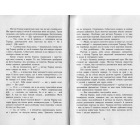 Час магії. Таємна брама. Книга 3