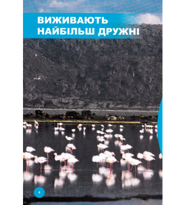 Хто з ким дружить, або дивовижі симбіозу