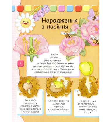 Людина. Велика книжка для найменших