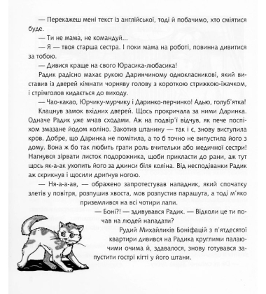 Зустріч на Босому мосту