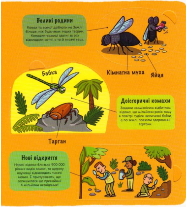 Маленькі дослідники: Комашки