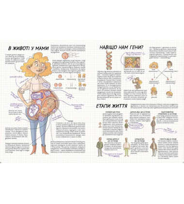 Тіло людини. Як це працює?