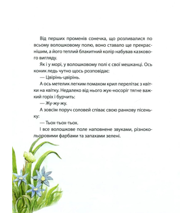 Хоробрий Мотя