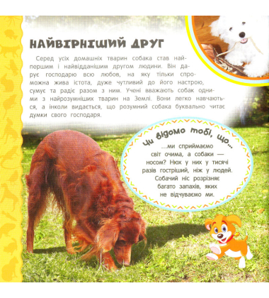 Домашні улюбленці