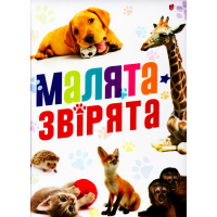 Малята - звірята