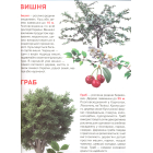 Велика книжка. Рослинний світ України