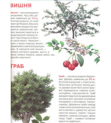 Велика книжка. Рослинний світ України