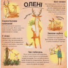 Хто ховається між листям й у воді?
