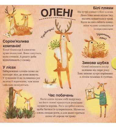 Хто ховається між листям й у воді?