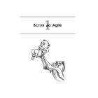Чистий Agile