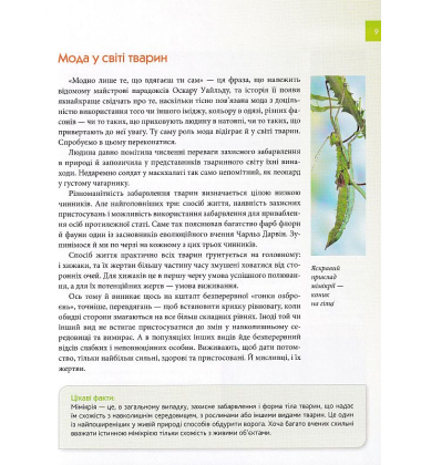 Тварини - майстри маскування