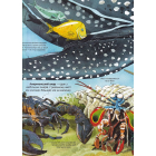 Велика книга морських мешканців