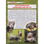 Енциклопедія. Собаки